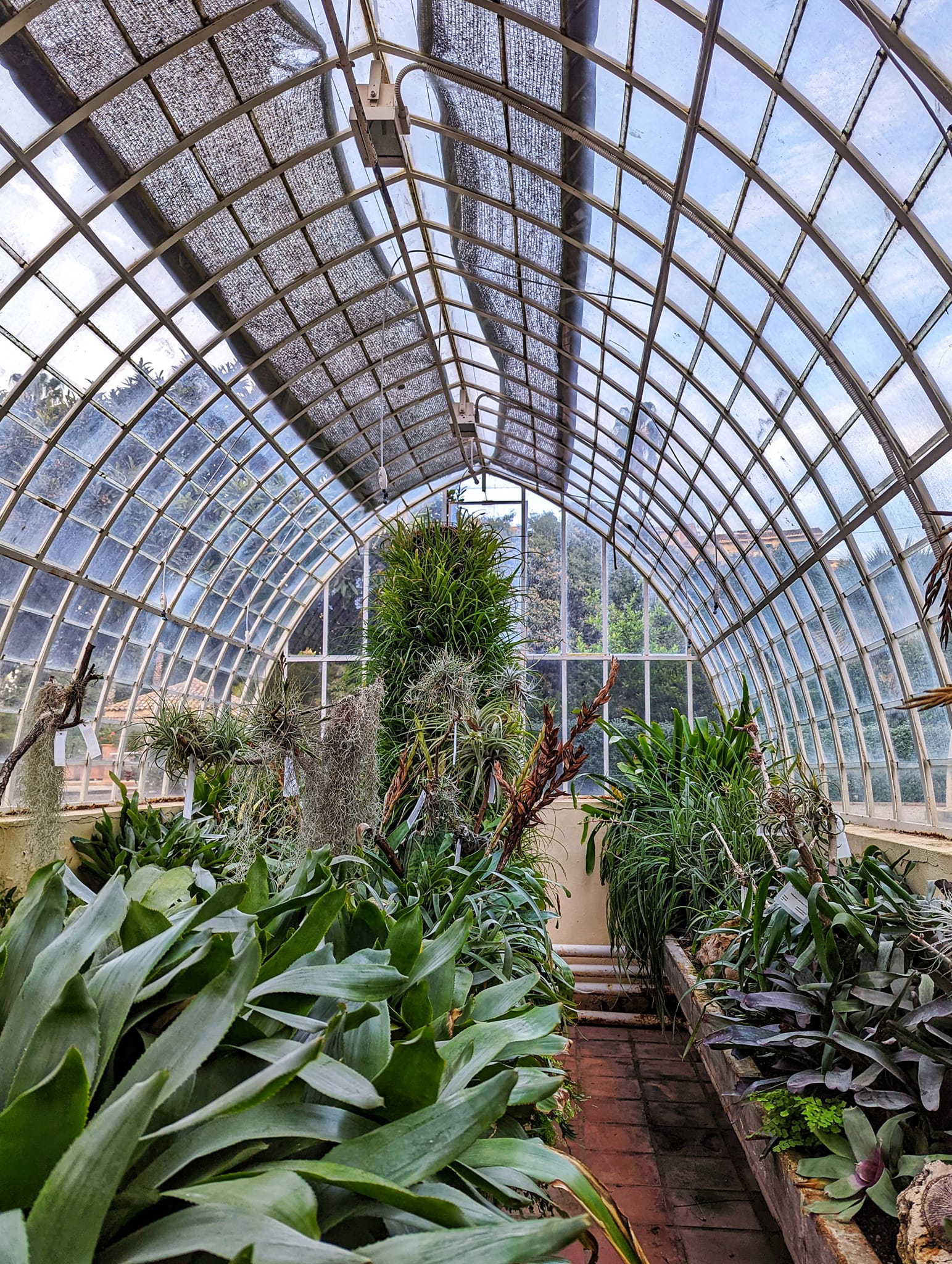 Spain: A week in Valencia - Greenhouse at the Botanical Garden