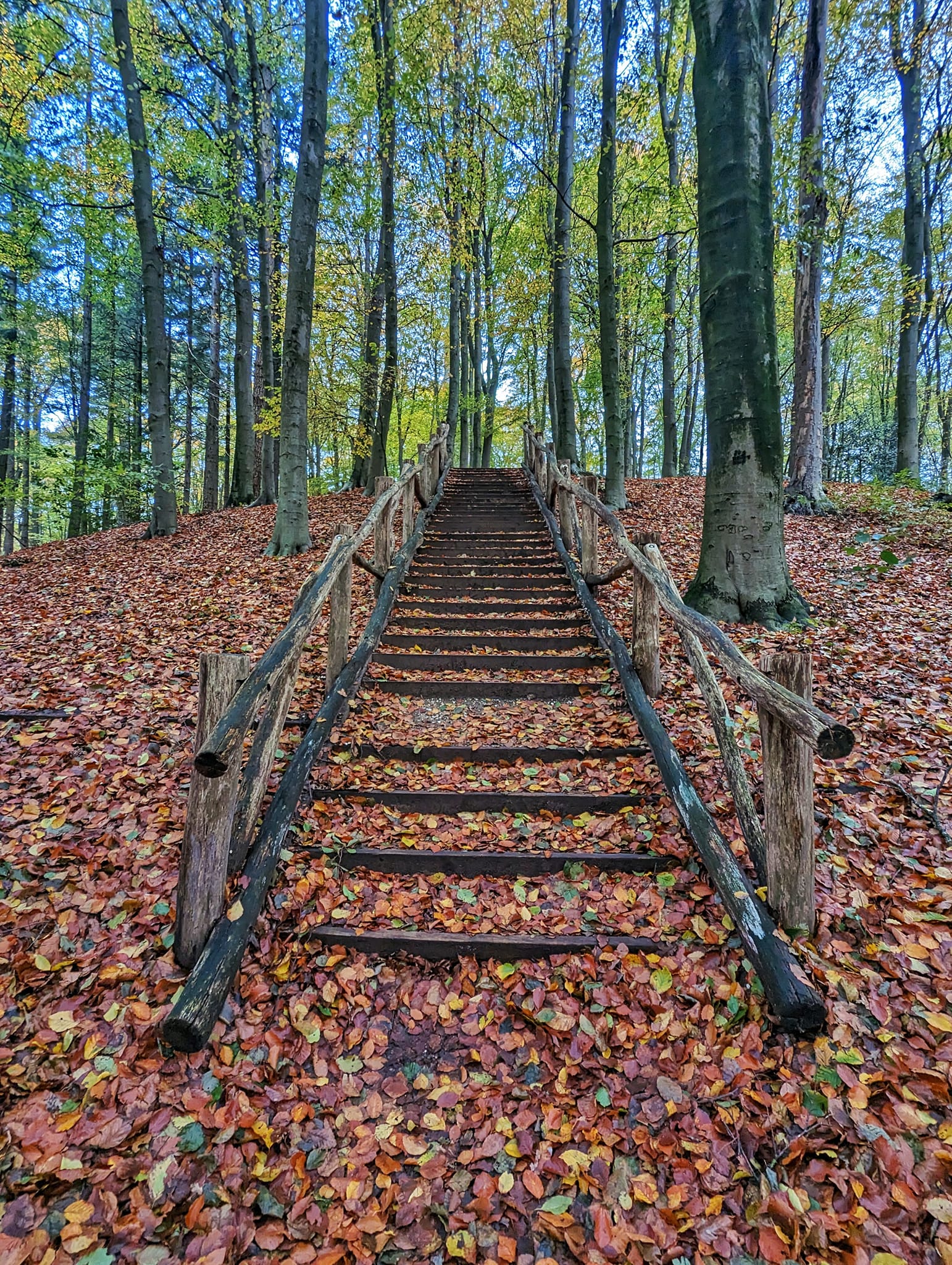 The Netherlands: A few days in Arnhem - Park Sonsbeek