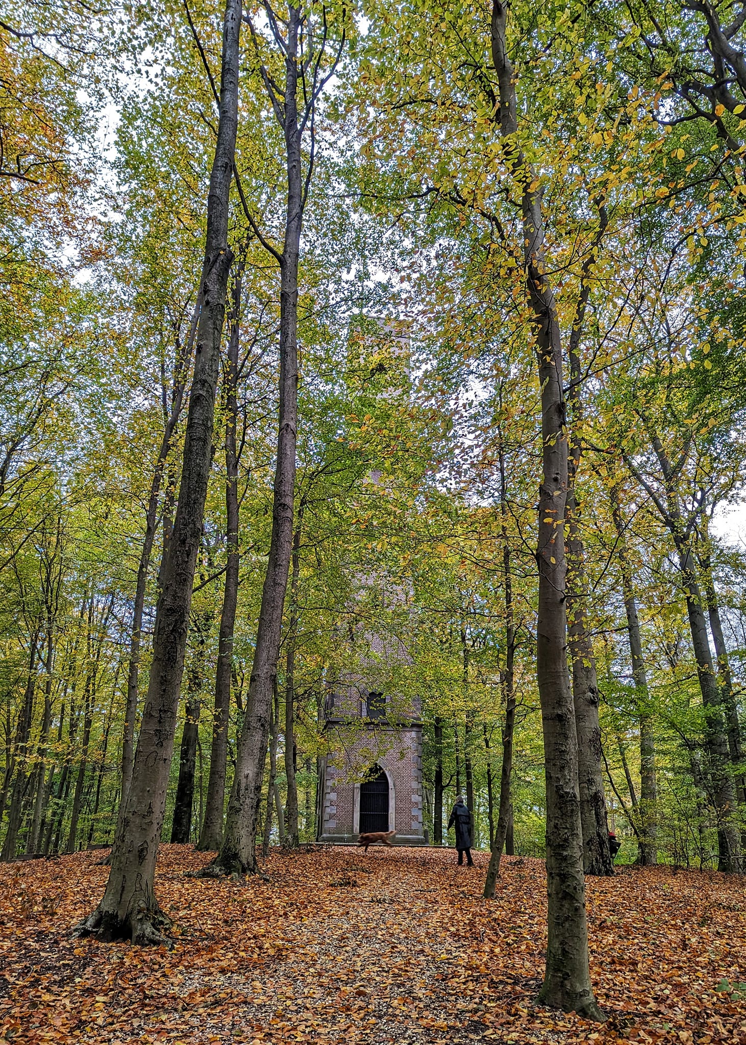 The Netherlands: A few days in Arnhem - Park Sonsbeek Belvédère