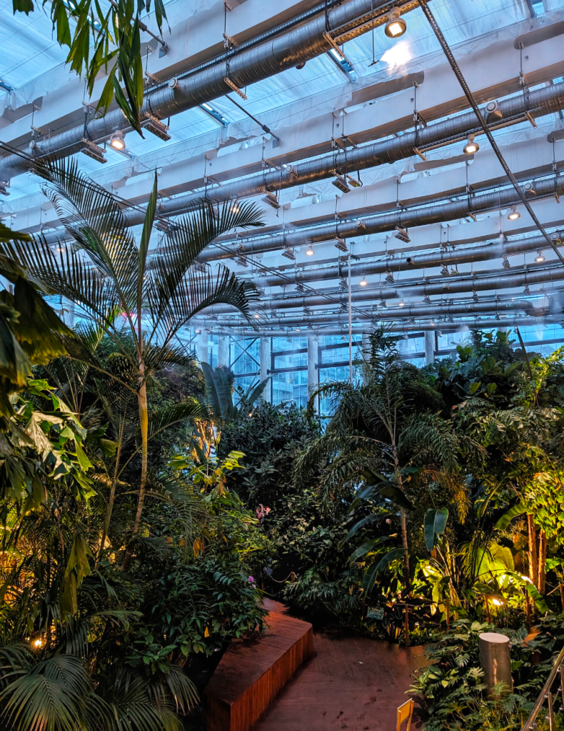 Poland: Food in Gdańsk - Olivia Garden jungle restaurant