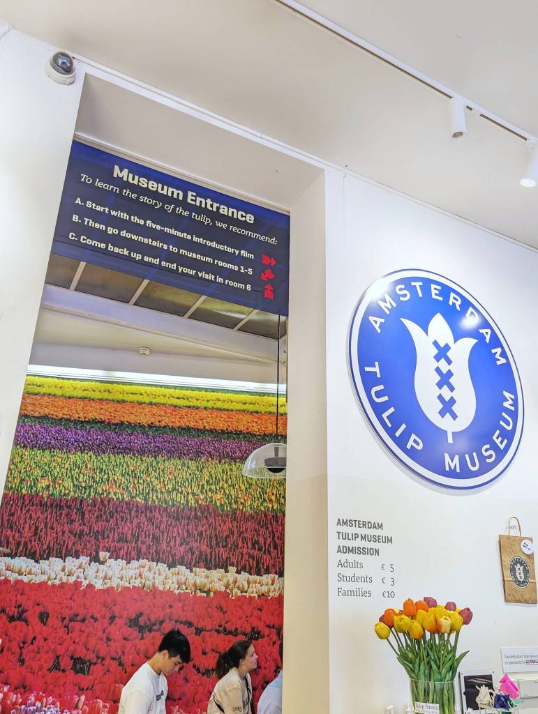 The Netherlands: 24 hours in Amsterdam on a budget - Tulip Museum inside