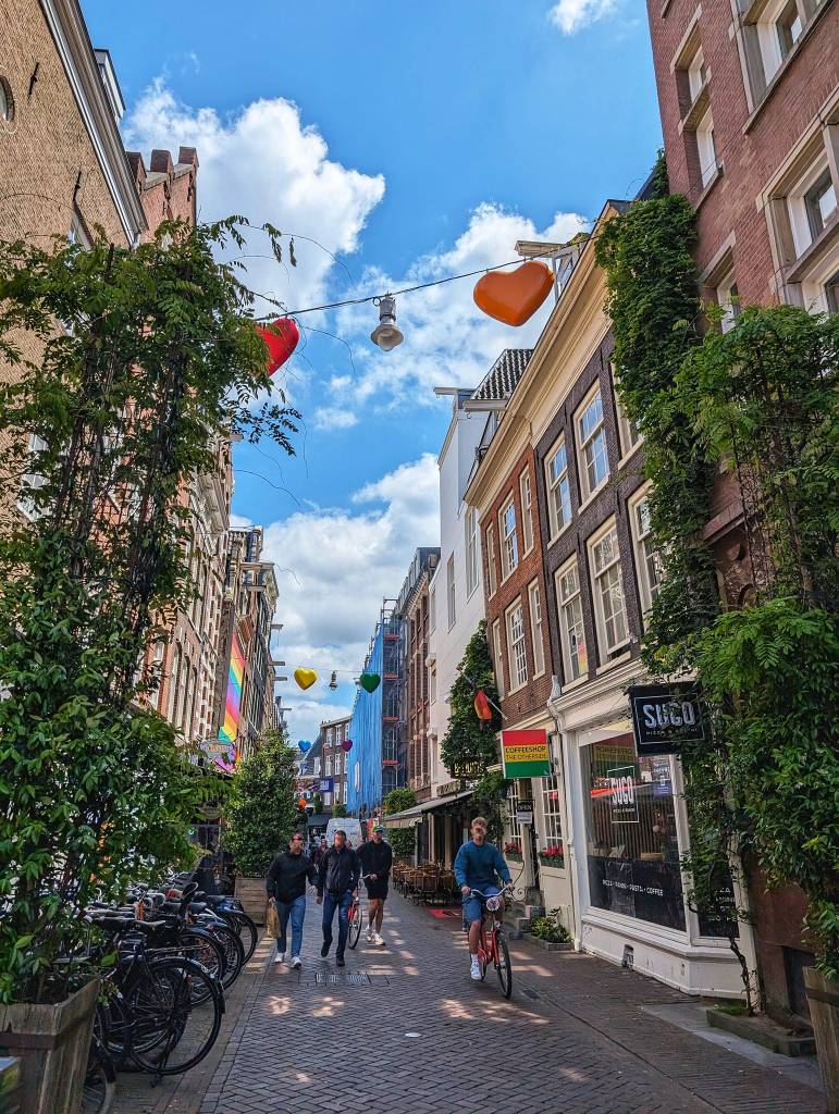 The Netherlands: 24 hours in Amsterdam on a budget - a street in the city centre